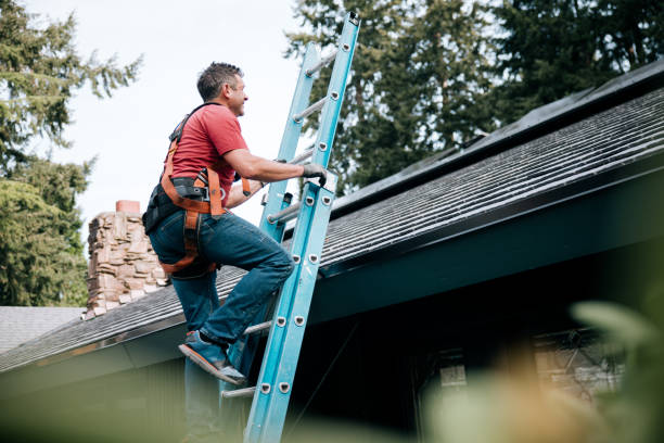 Professional Roofing in Wilson, OK
